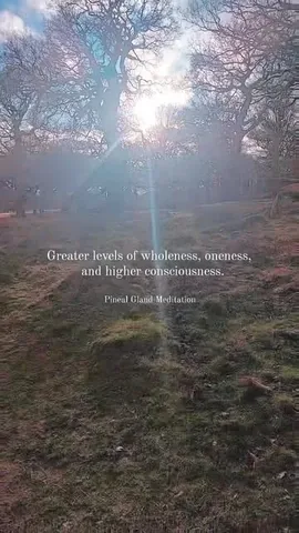 healthwithnora Instagram post about Pineal gland and melatonin claims
