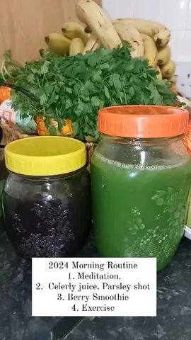 healthwithnora Instagram post about Plant based wellness