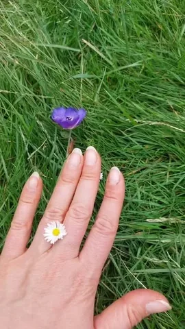 healthwithnora Instagram post about Gratitude and self healing