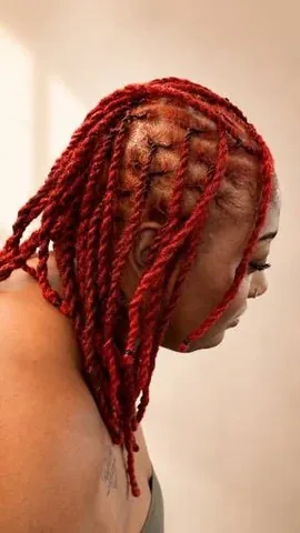 iamjafaea Instagram post about Colored loc styling