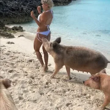 michelle_lewin Instagram post about Humor
