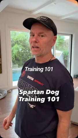 realjoedesena Instagram post about Dog training