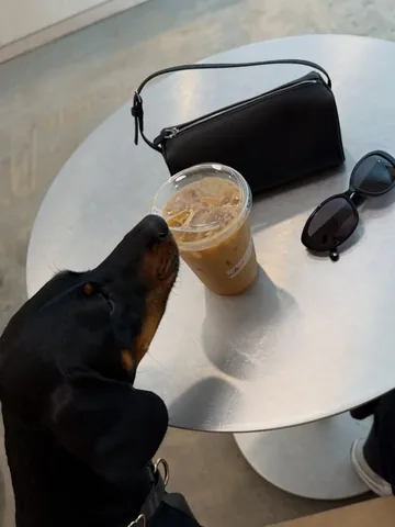 swellmichelle Instagram post about Family coffee outing